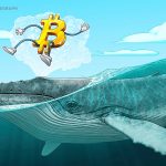 Bitcoin balinaları tüm hızıyla BTC almaya devam ediyor