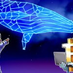 BTC balina aktivitesi boğa piyasasının hızlandığını gösteriyor