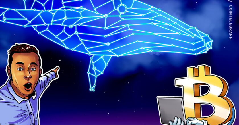 BTC balina aktivitesi boğa piyasasının hızlandığını gösteriyor