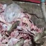 1,5 ton uygunsuz eti vatandaşa yedireceklerdi! Yakayı ele verdiler