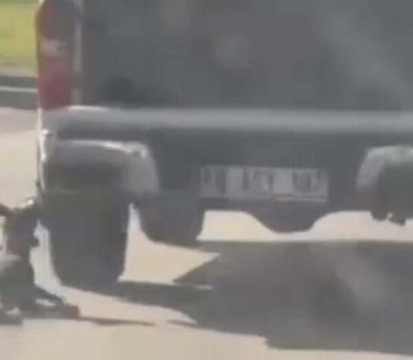 Muğla’da dehşet verici olay: Kamyonetle sürüklenen köpek can verdi