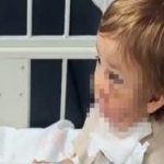 Pitbull sahibi: “Köpek koruma içgüdüsüyle saldırdı.”