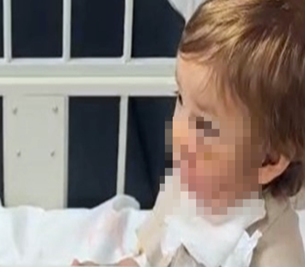 Pitbull sahibi: “Köpek koruma içgüdüsüyle saldırdı.”