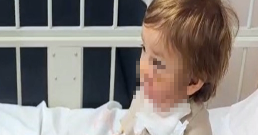 Pitbull sahibi: “Köpek koruma içgüdüsüyle saldırdı.”